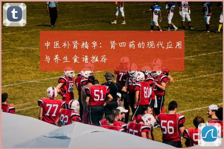 中医补肾精华：肾四药的现代应用与养生食谱推荐