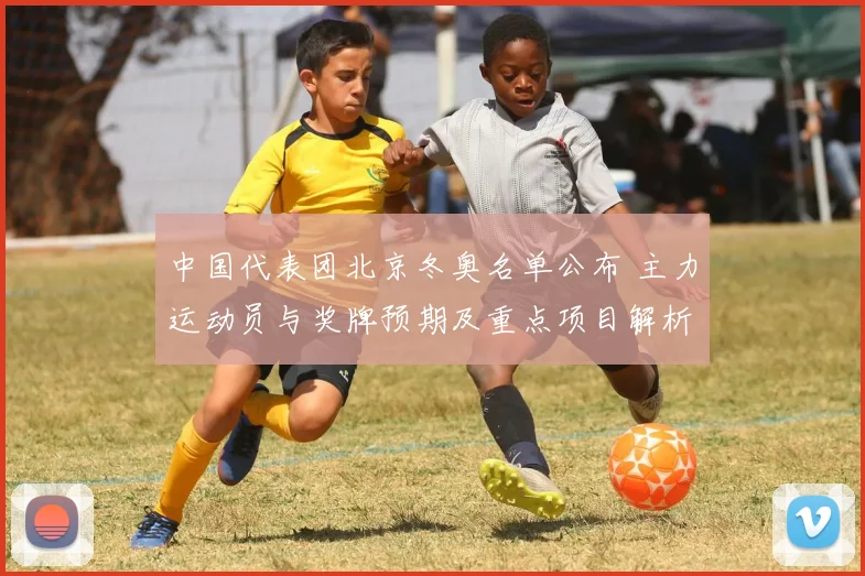 中国代表团北京冬奥名单公布 主力运动员与奖牌预期及重点项目解析