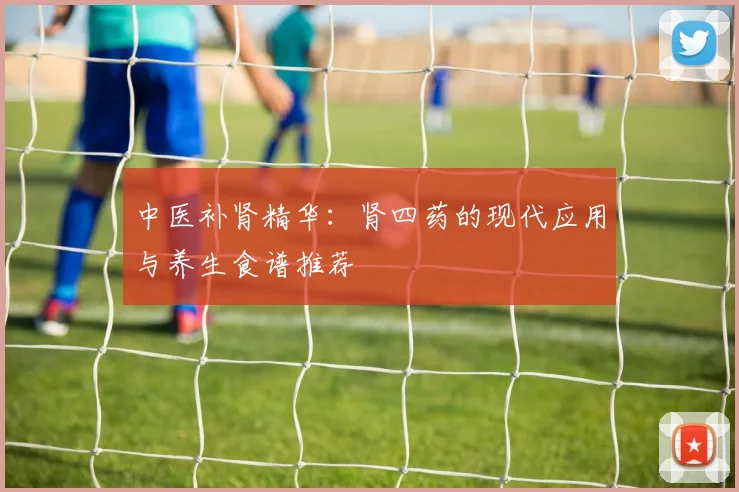 中医补肾精华：肾四药的现代应用与养生食谱推荐